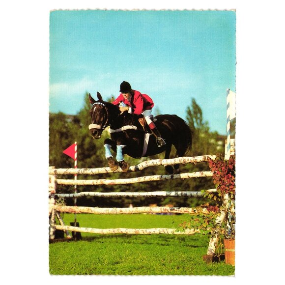 Vintage Horse Jumping Postcard Foto H. Alder Edition Korsch 5438 Scalloped Edge - Picture 1 of 2